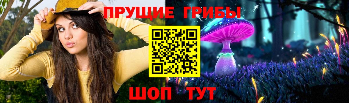 Псилоцибиновые грибы Cubensis Щёлково