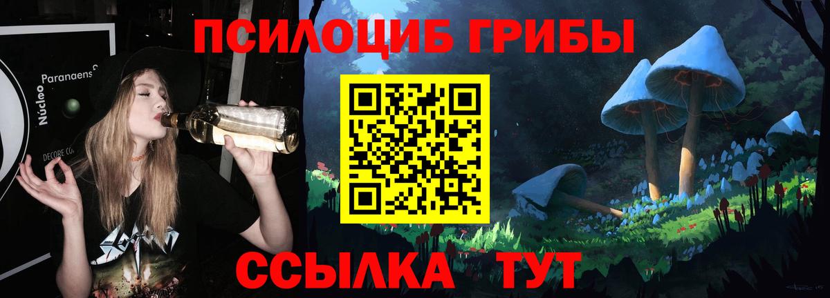 Щёлково  Псилоцибиновые грибы Psilocybe  Вход с VPN 